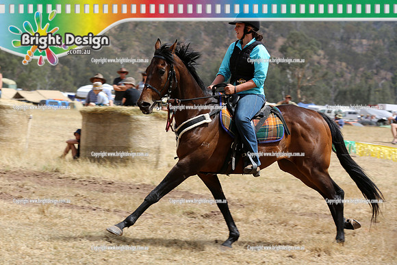 Cattleman's Cup Licola - Jan 2013 (1135)