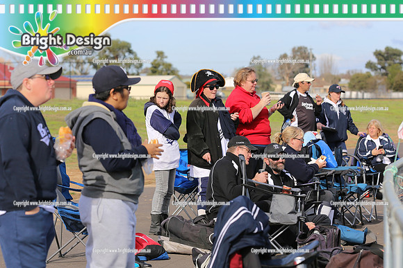 Softball Masters - Bendigo June 2013  (1009)