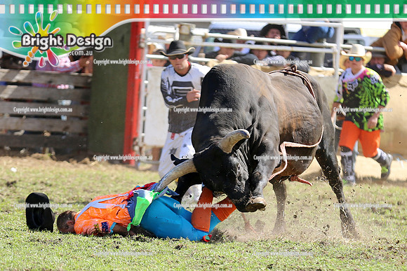 Lang Lang Rodeo - 1 April 2013  Bright Design Photogrpahy(1619)