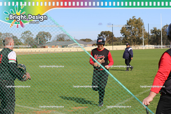 Softball Masters - Bendigo June 2013  (1028)