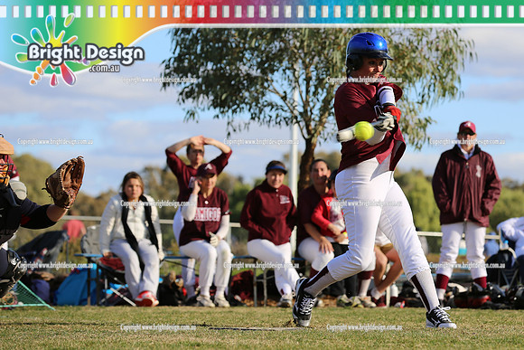 Softball Masters - Bendigo June 2013  (1553)