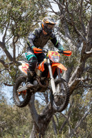 Dirt Bikes @ Frankston City Motorcycle Track SUN 16 December 2016  (1509)