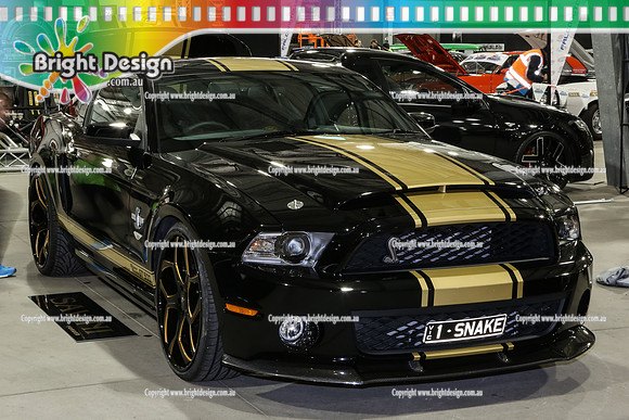 Melbourne MotorEX  July 2014  Bright Design  (114)  1SNAKE