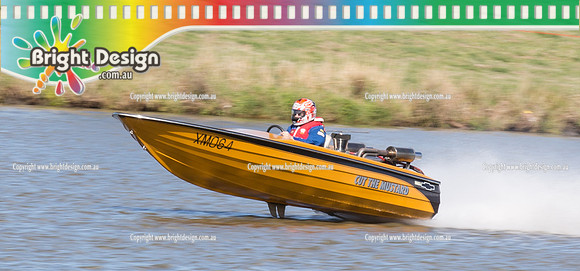 VDBC April Club Day  27 April 2014  (4114)  CUT THE MUSTARD