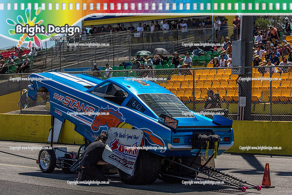 ANDRA Australian Nationals @ Calder Park Raceway  Sunday 29 JAN 2017   (75684)  THE STANG 5833 Tim Stewart