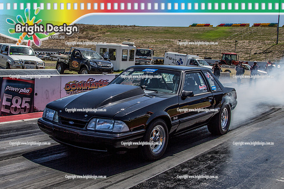 APSA @ Calder Park Drag Racing  Saturday 25 Feb 2017 (78612)  EYK33W  2549 NORTON