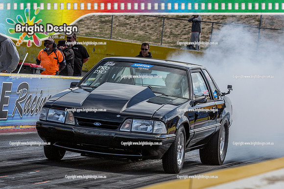 APSA @ Calder Park Drag Racing  Saturday 25 Feb 2017 (78455)  EYK33W  2549 NORTON