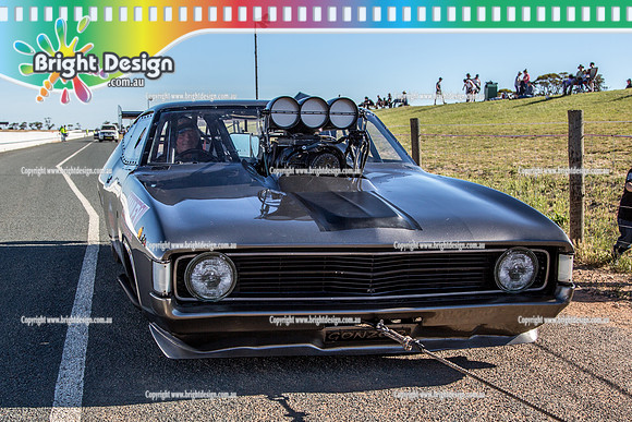 Race for Pride Drag Racing @ Swan Hill Sat 26 Nov 2016 (3907)  54 BEN GATT GONZO2 WILD BUNCH