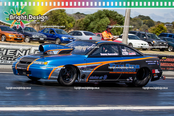 Fuchs South Coast Raceway ANDRA Summit Series Rnd 7 @ Portland SAT 16 JAN 2016 (15020)  DANNY BUCCELLA 4288