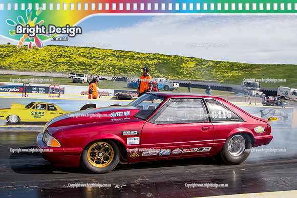 Sunday Funday Off Street Drag Racing @ Calder Park Drag Racing Sun 28 August 2016  (57645)  6416