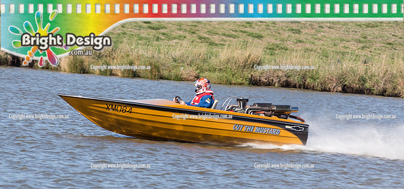 VDBC April Club Day  27 April 2014  (4025)  CUT THE MUSTARD