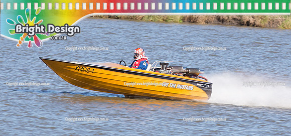 VDBC April Club Day  27 April 2014  (4269)  CUT THE MUSTARD