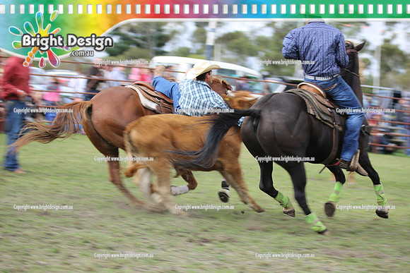 Lang Lang Rodeo - 1 April 2013  Bright Design Photogrpahy(295)