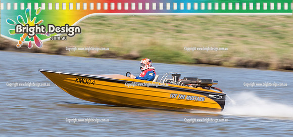 VDBC April Club Day  27 April 2014  (4119)  CUT THE MUSTARD