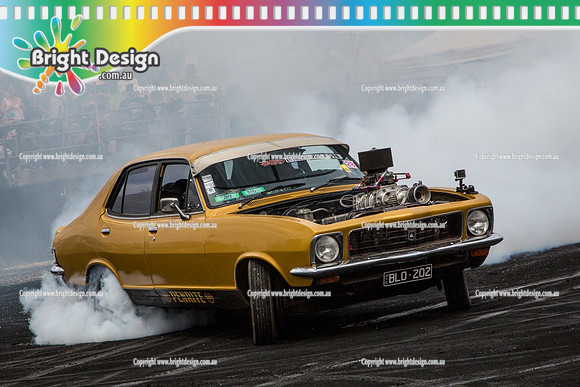Summernats 28 Sunday 4 Jan 2015  BD  (8241)  BLO202 BURNOUT