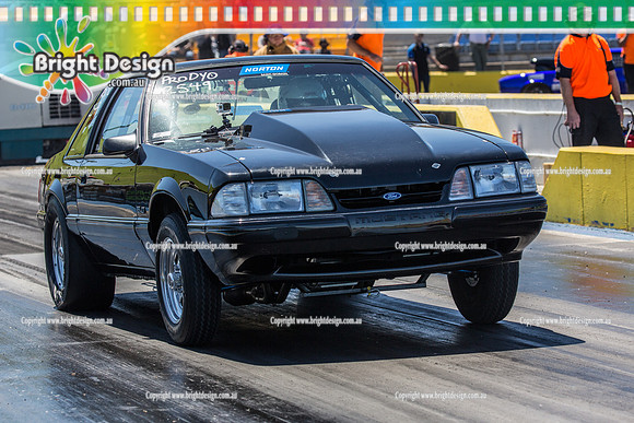 APSA & Nitro Funny Cars @ Calder Park Drag Racing Sat 29 Oct 2016 (66147)   2549  NORTON  MIKKI BORG