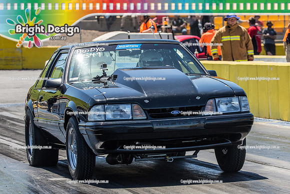 APSA & Nitro Funny Cars @ Calder Park Drag Racing Sat 29 Oct 2016 (66146)  2549  NORTON  MIKKI BORG