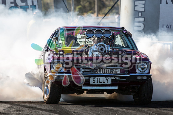 2014 01 Jan 14 - SATURDAY Summernats 27  MP__0354