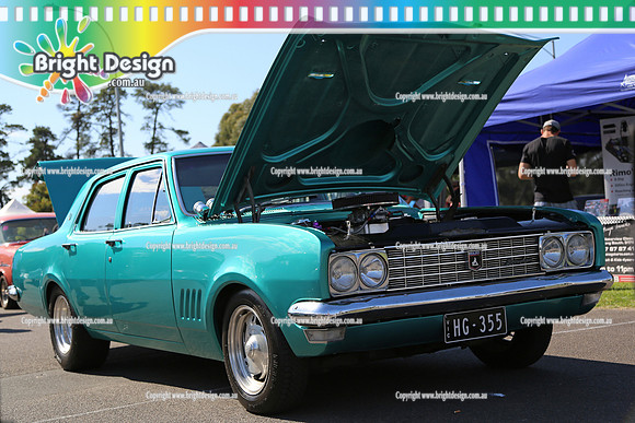 All Holden Day @  Dandeonong 7 April 2013  Bright Design (1184)  HG355