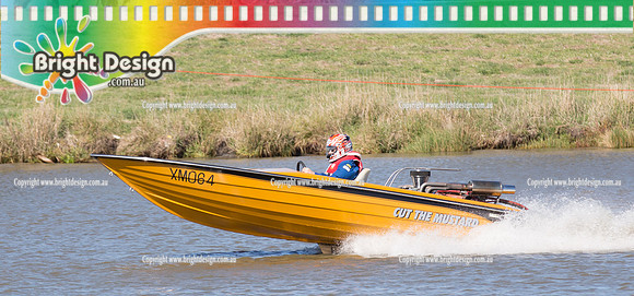 VDBC April Club Day  27 April 2014  (4171)  CUT THE MUSTARD