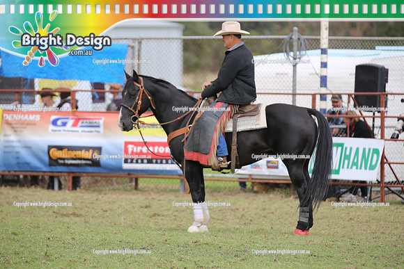 Lang Lang Rodeo - 1 April 2013  Bright Design Photogrpahy(350)