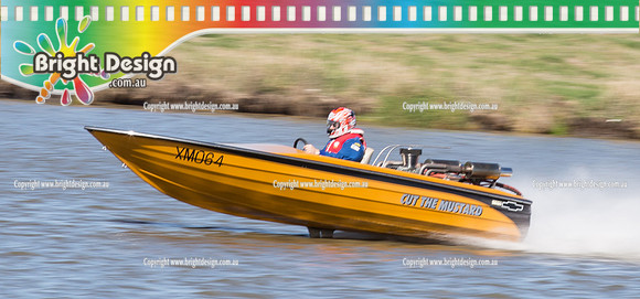 VDBC April Club Day  27 April 2014  (4118)  CUT THE MUSTARD