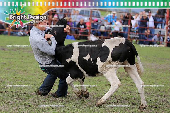Lang Lang Rodeo - 1 April 2013  Bright Design Photogrpahy(271)
