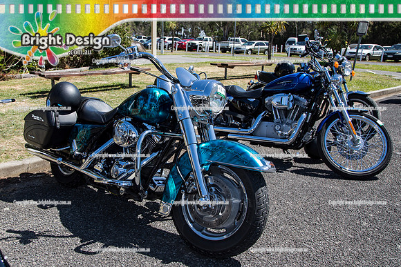 Bass Coast Car & Bike Show #2 Feb 2014  (2006)  BIKE