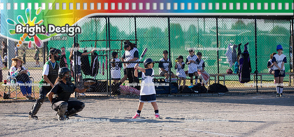 Berwisk Braves Softball  Club Finals Under 13 Girls  22 March 2015 (1042)