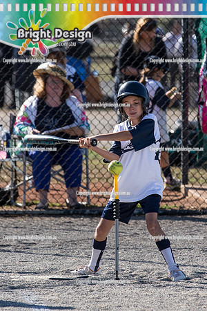 Berwisk Braves Softball  Club Finals Under 13 Girls  22 March 2015 (1307)