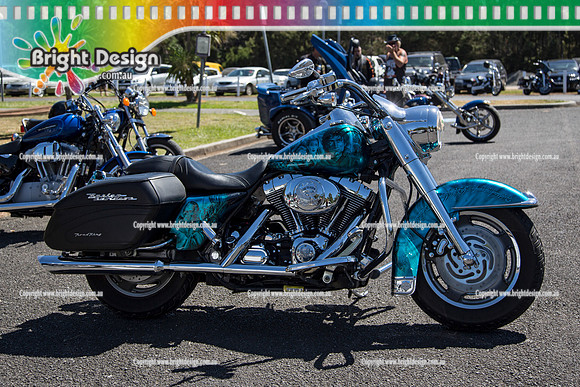 Bass Coast Car & Bike Show #2 Feb 2014  (2008)  BIKE