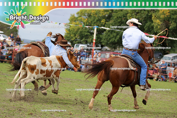 Lang Lang Rodeo - 1 April 2013  Bright Design Photogrpahy(198)