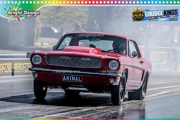 GK22 Grudge Kings @ Sydney Dragway Saturday 6 Aug 2022 (40534)  ANIMAL  2924 JONATHAN DANASKOS