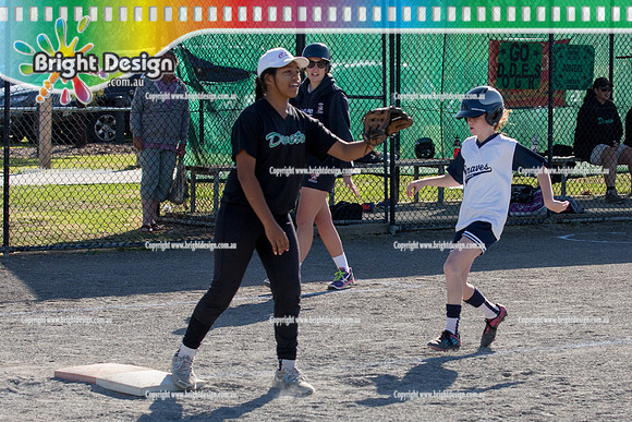 Berwisk Braves Softball  Club Finals Under 13 Girls  22 March 2015 (1283)