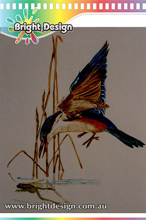 p fine art Fine Art Illustration of Kingfisher using traditional Ink