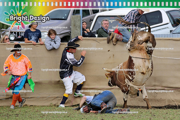 Lang Lang Rodeo - 1 April 2013  Bright Design Photogrpahy(156)
