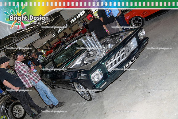 Autofest Shepparton Springnats 21  SUN 24-11-13  (5620)  CHOPPT