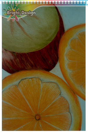 p fine art Traditonal pencil Illustration Fruit created by Michelle Porobic from Bright Design