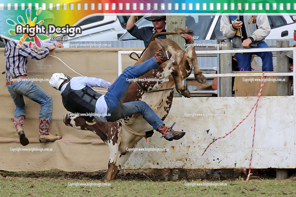 Lang Lang Rodeo - 1 April 2013  Bright Design Photogrpahy(151)