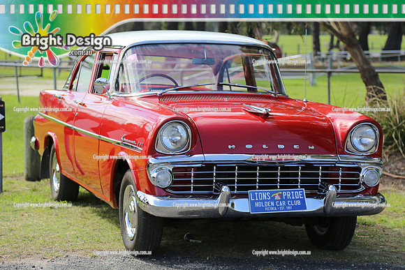 All Holden Day @  Dandeonong 7 April 2013  Bright Design (1031)  LIONS PRIDE