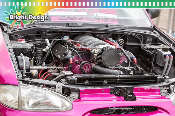 Motorfest @ Lardner Park  March 2015 SUNDAY  (18005)  WHYNOT