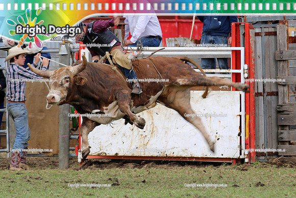 Lang Lang Rodeo - 1 April 2013  Bright Design Photogrpahy(126)