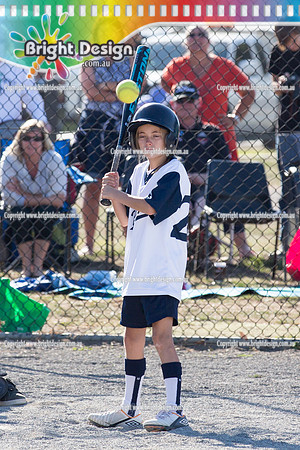 Berwisk Braves Softball  Club Finals Under 13 Girls  22 March 2015 (1287)