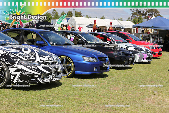 Autofest Shepparton Springnats 21  SUN 24-11-13  (5536)  EYE CANDY