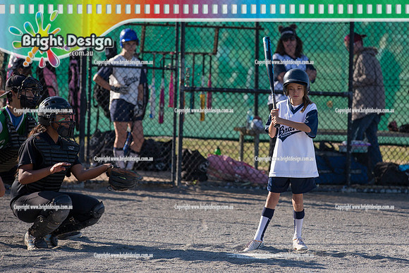 Berwisk Braves Softball  Club Finals Under 13 Girls  22 March 2015 (1031)