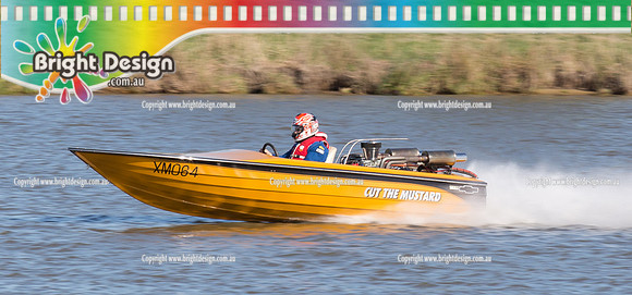 VDBC April Club Day  27 April 2014  (4421)   CUT THE MUSTARD