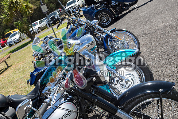 Bass Coast Car & Bike Show #2 Feb 2014  (2003)  BIKE